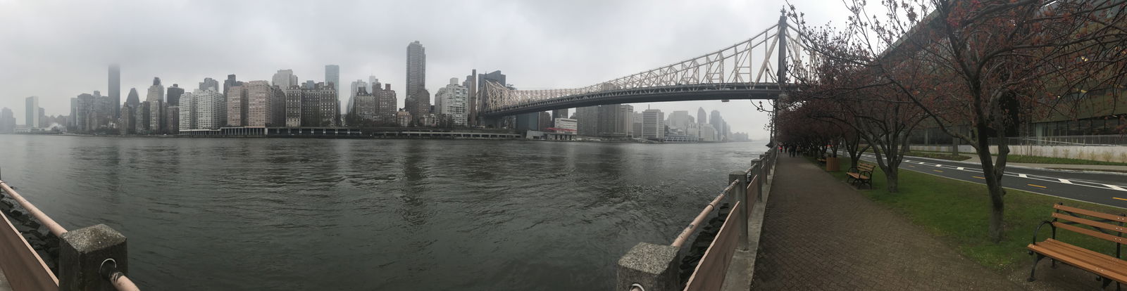 Big Apple profile banner