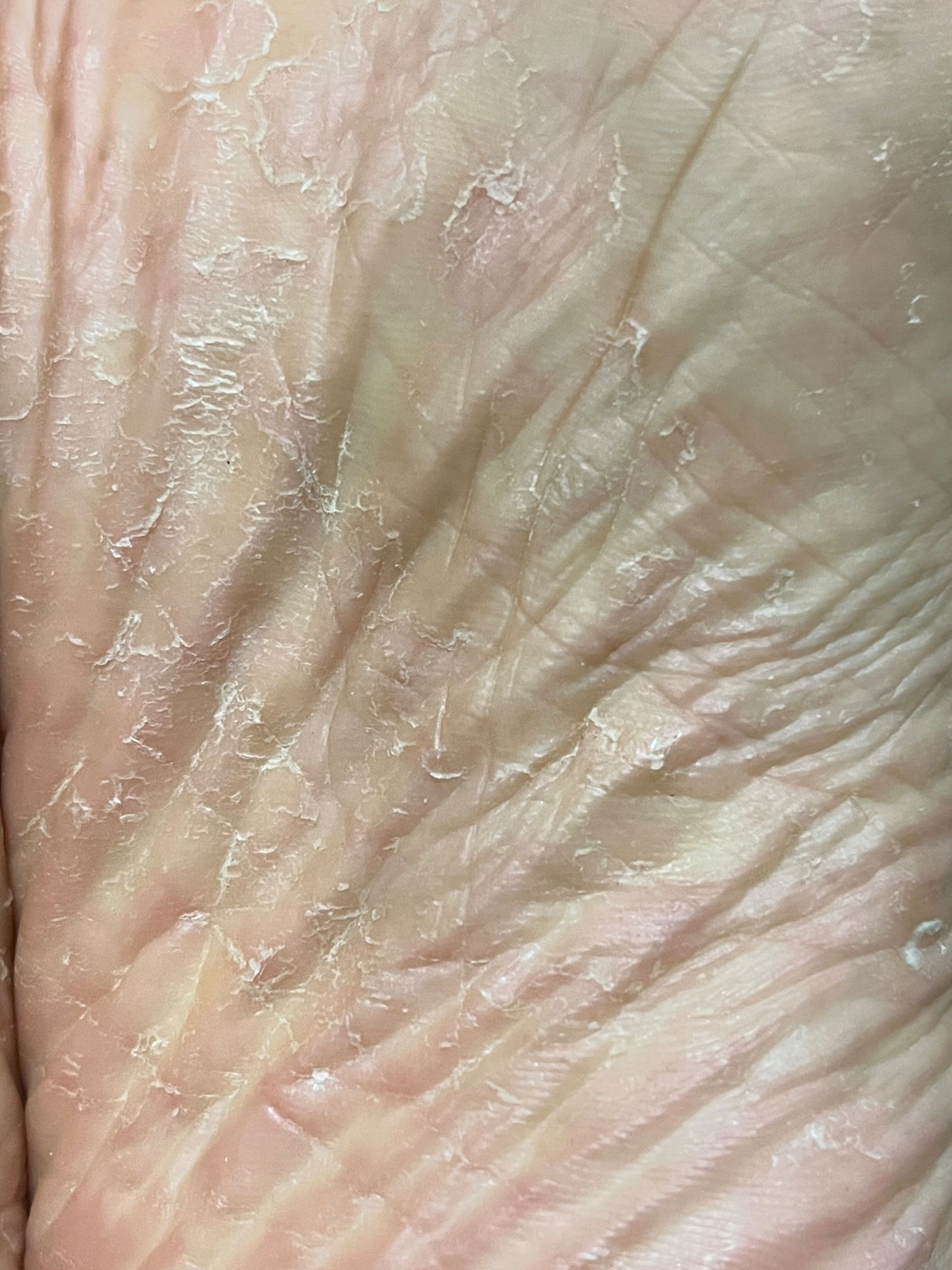 BigAthleteFeetGuy profile banner