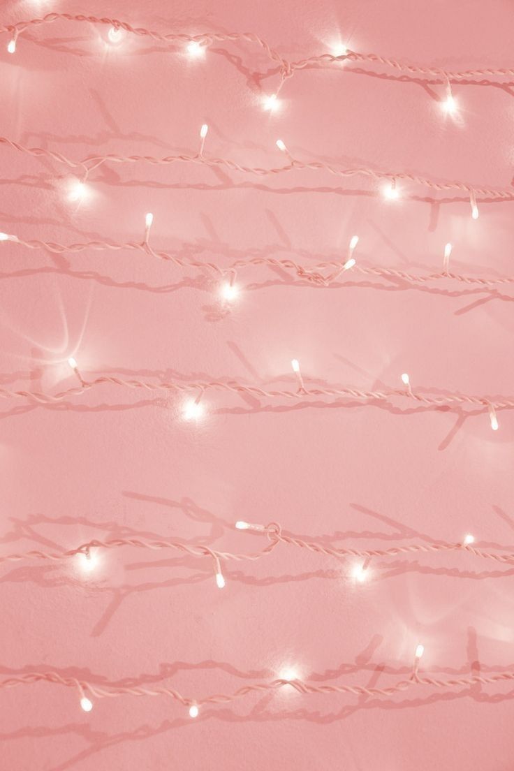 Dove profile banner