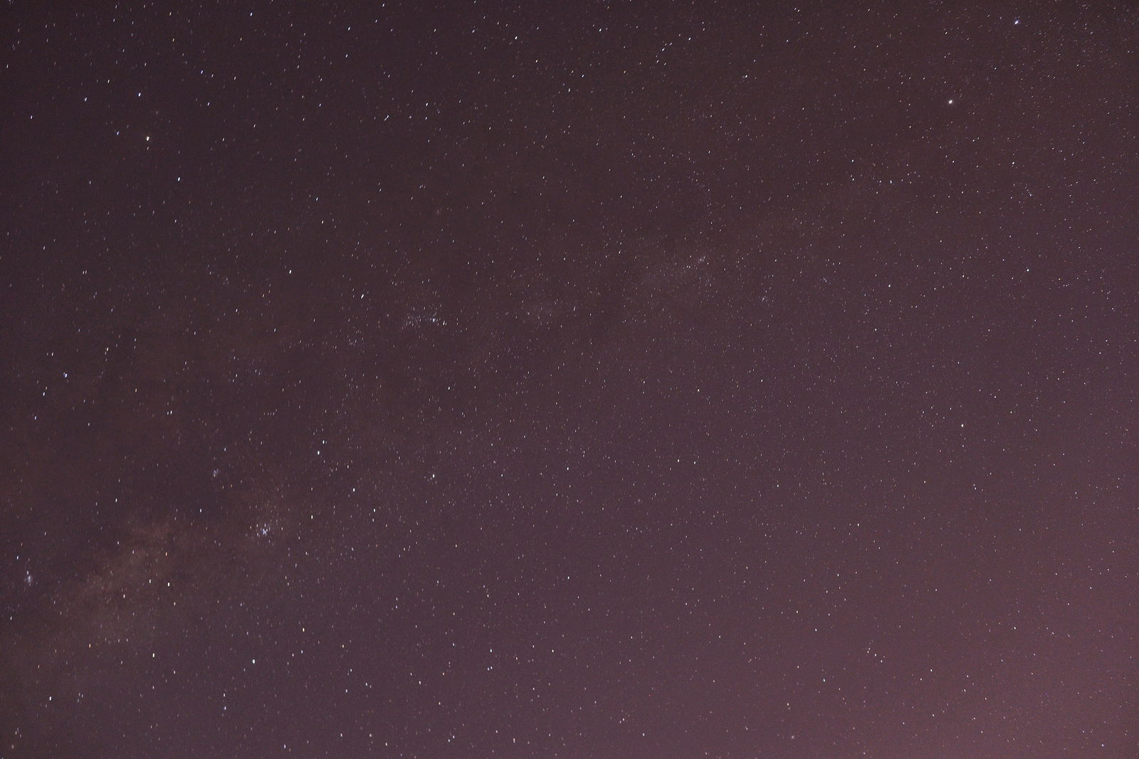 L profile banner