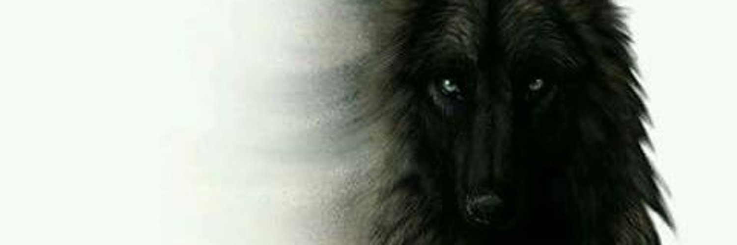 Fluffy profile banner