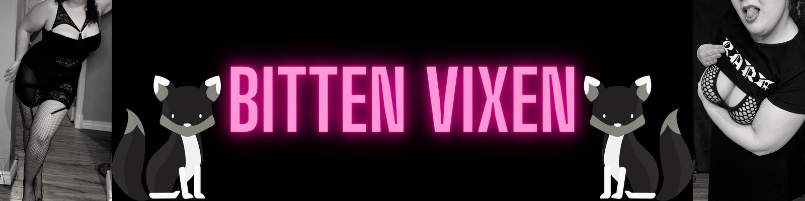 Bitten Vixen profile banner