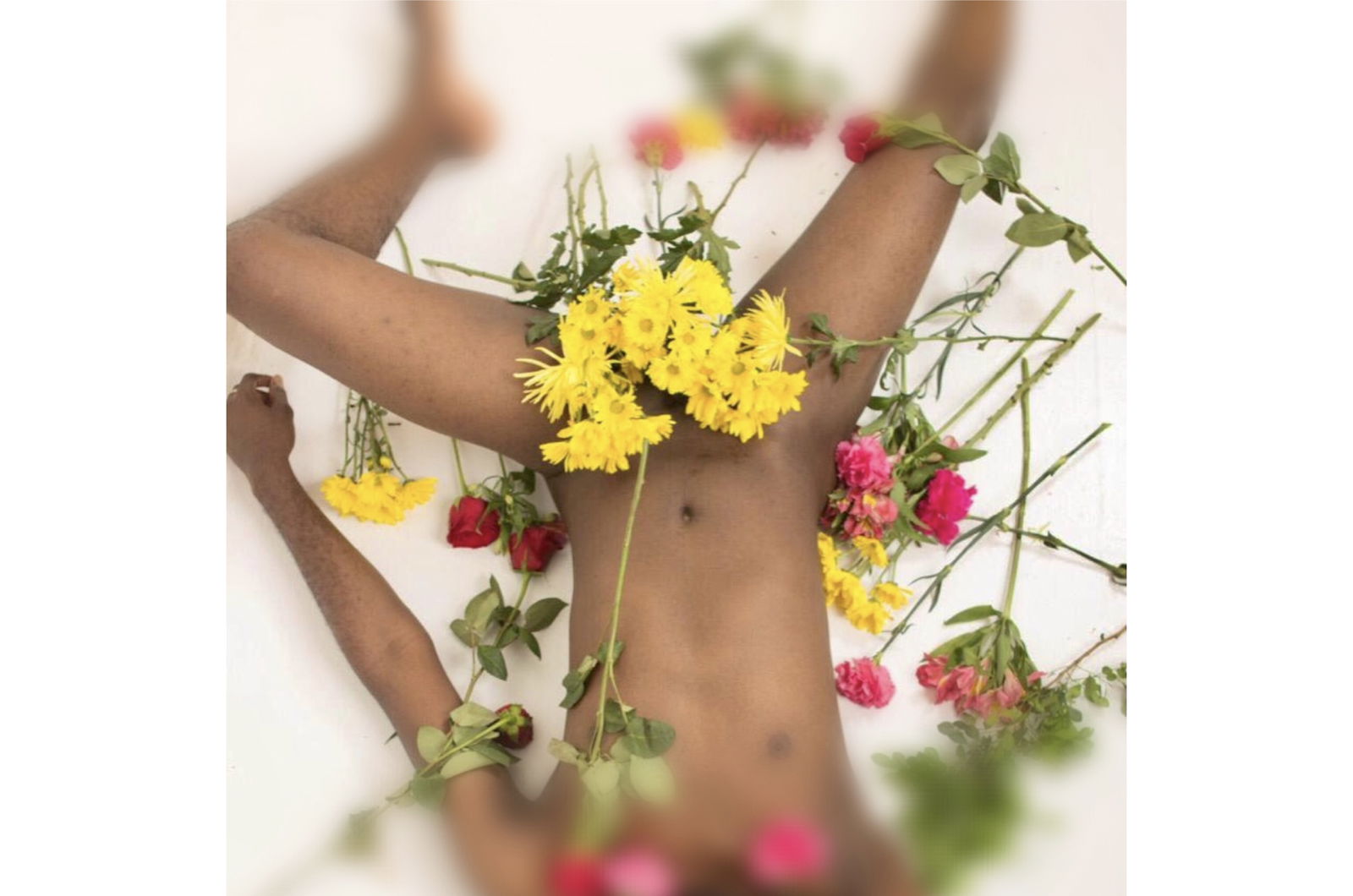 Official Blacchyniboi profile banner