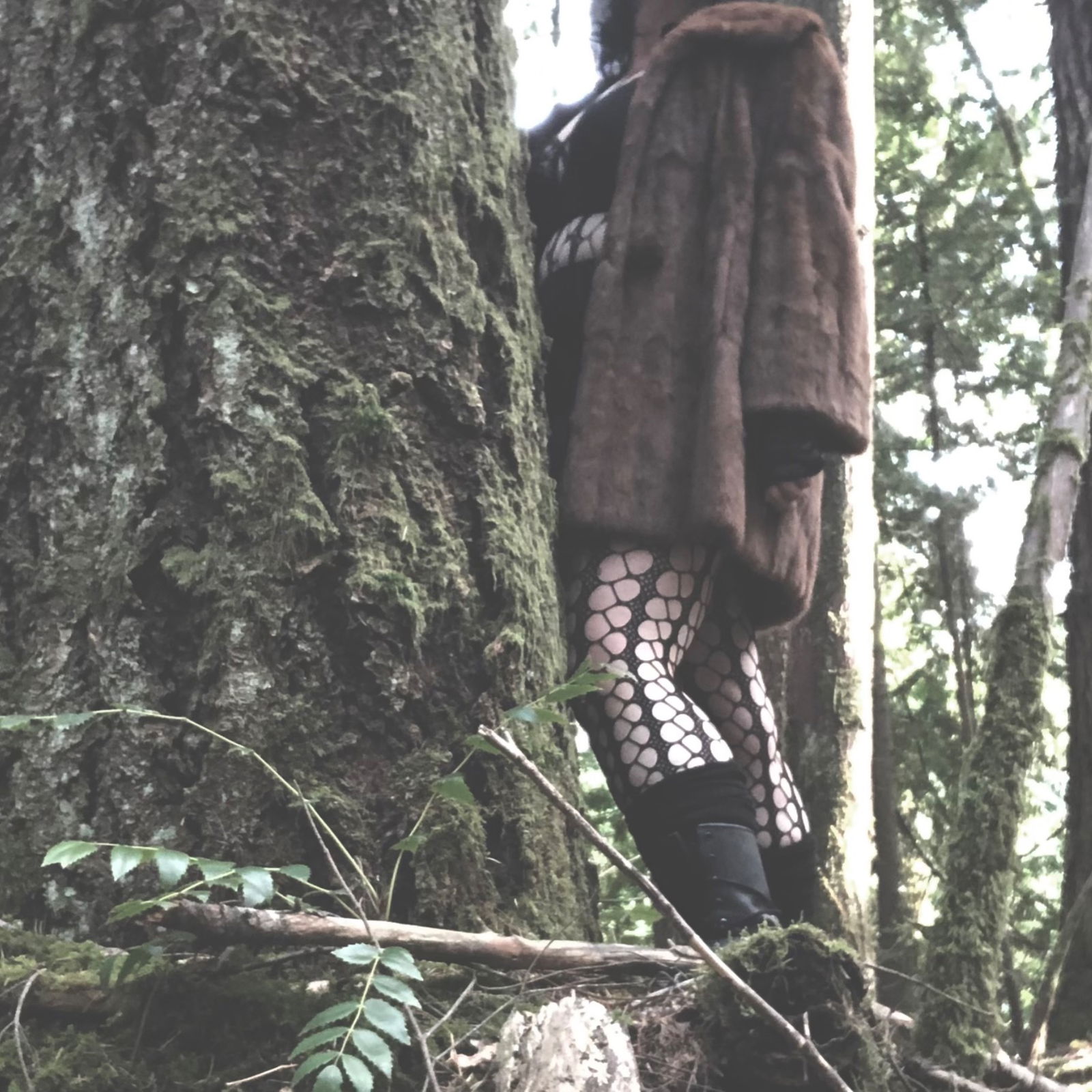 Blackberry Thorn profile banner
