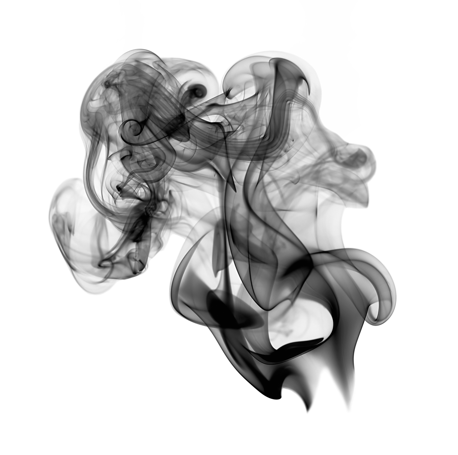 Black Renaissance profile banner