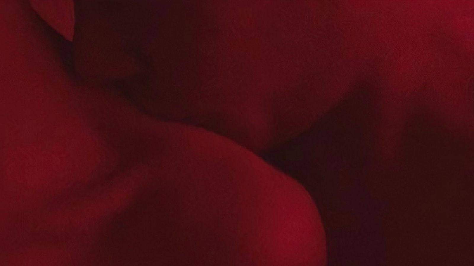 π¨π± profile banner