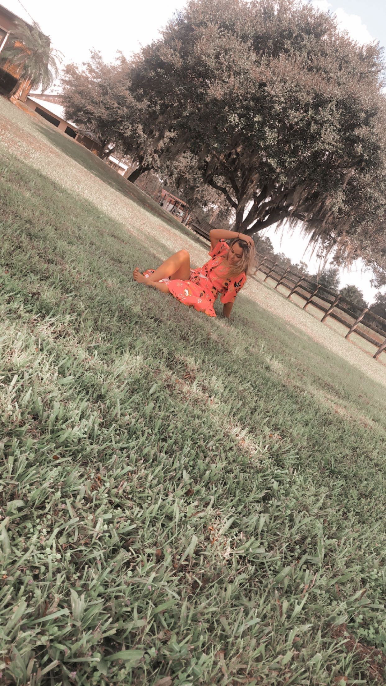 haley profile banner
