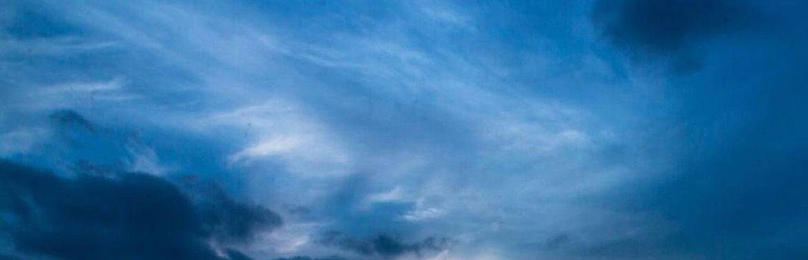 blondie_angelika banner