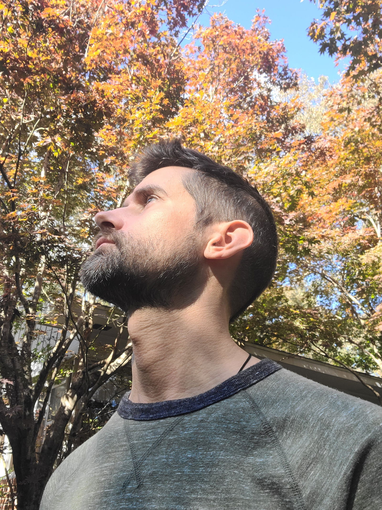 Paul profile banner