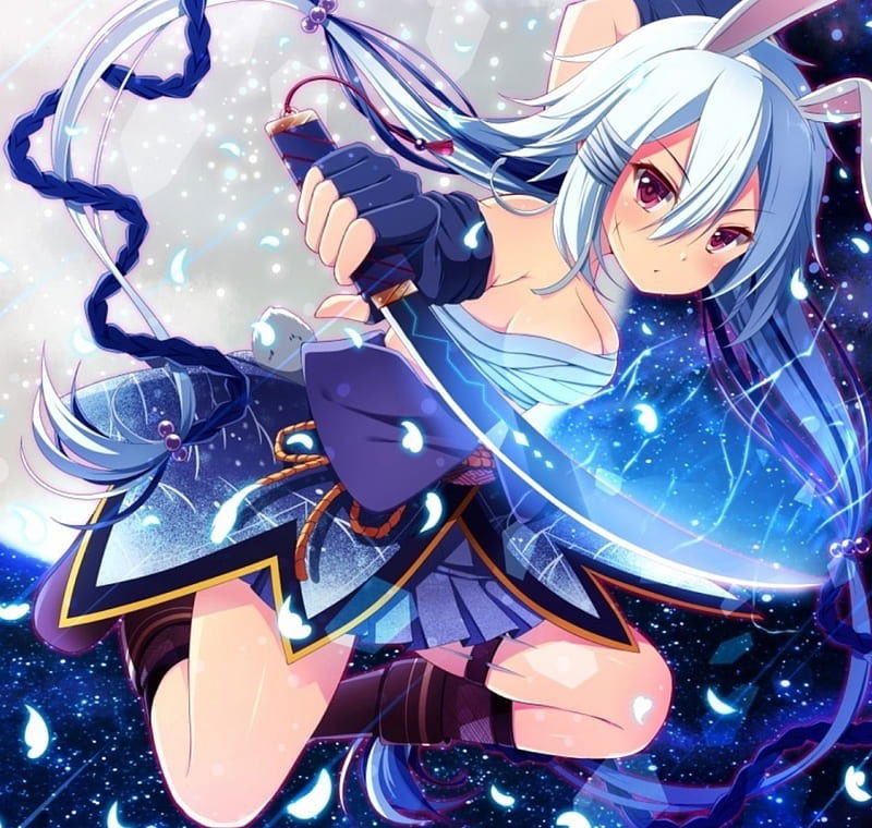 Bunny profile banner