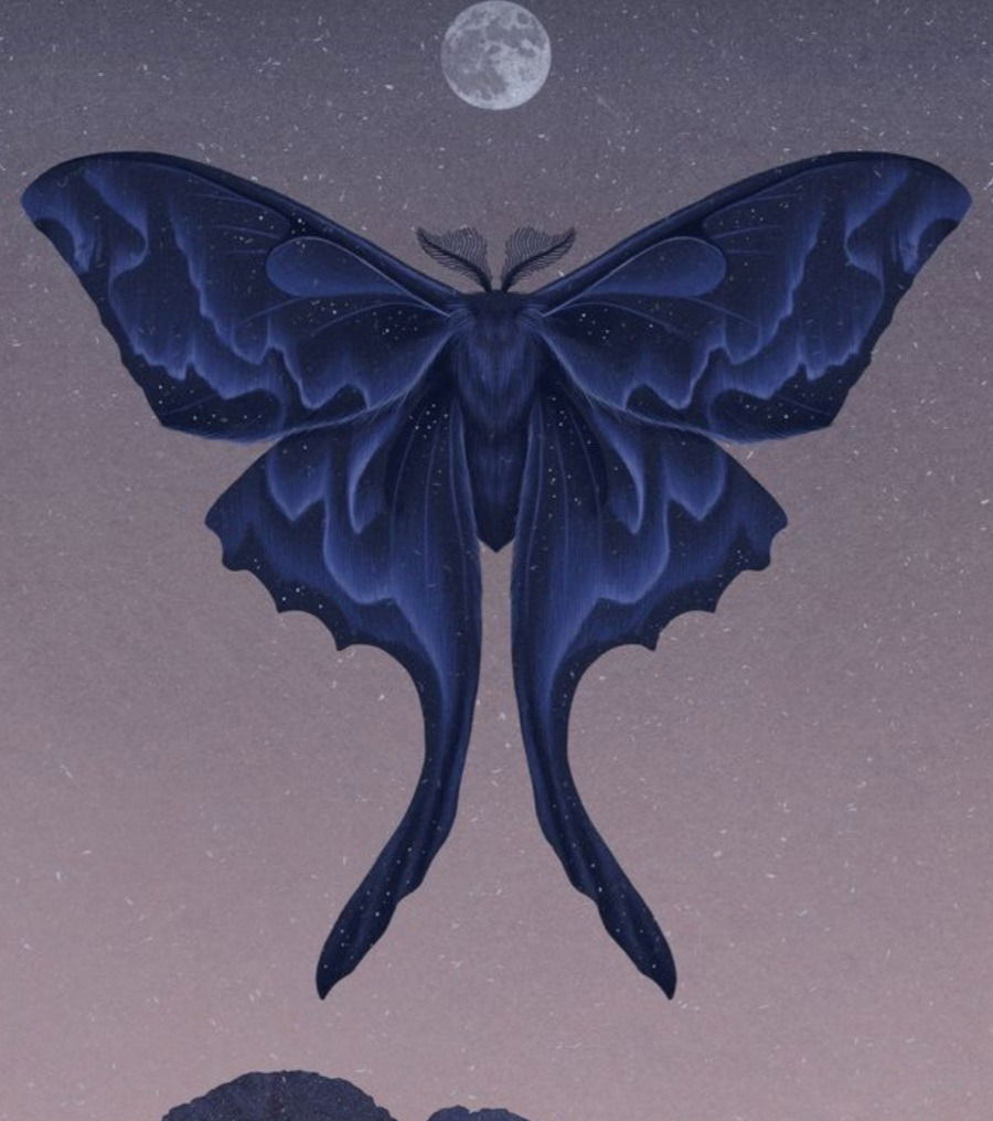 Blue Moth🦋 profile banner