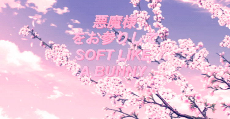 πππ©π©πππ¦πππͺ profile banner