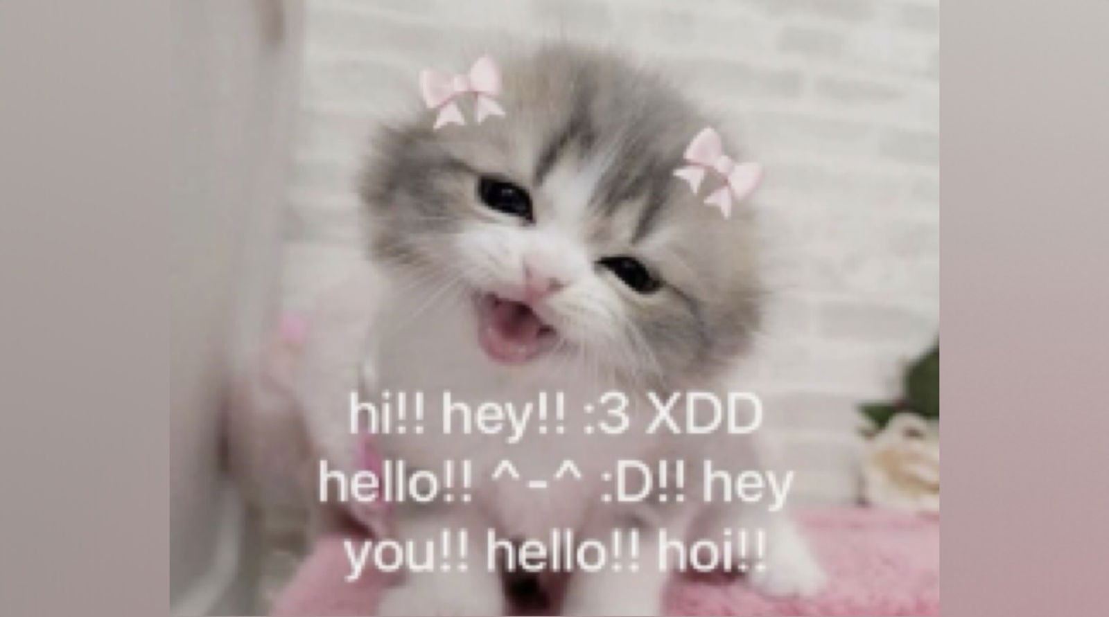 ☆ Kara Bout U ☆ referral link in bio ☆ profile banner