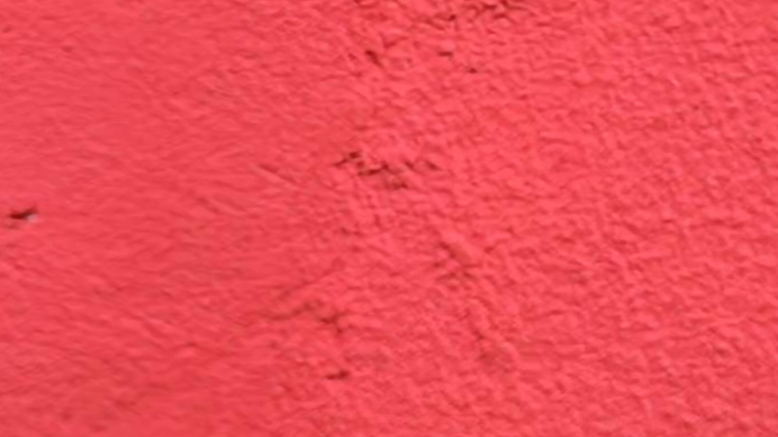 Boy Noche profile banner