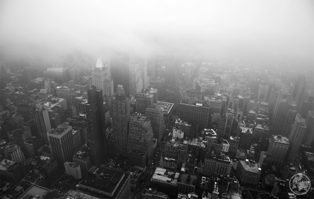 N e p profile banner
