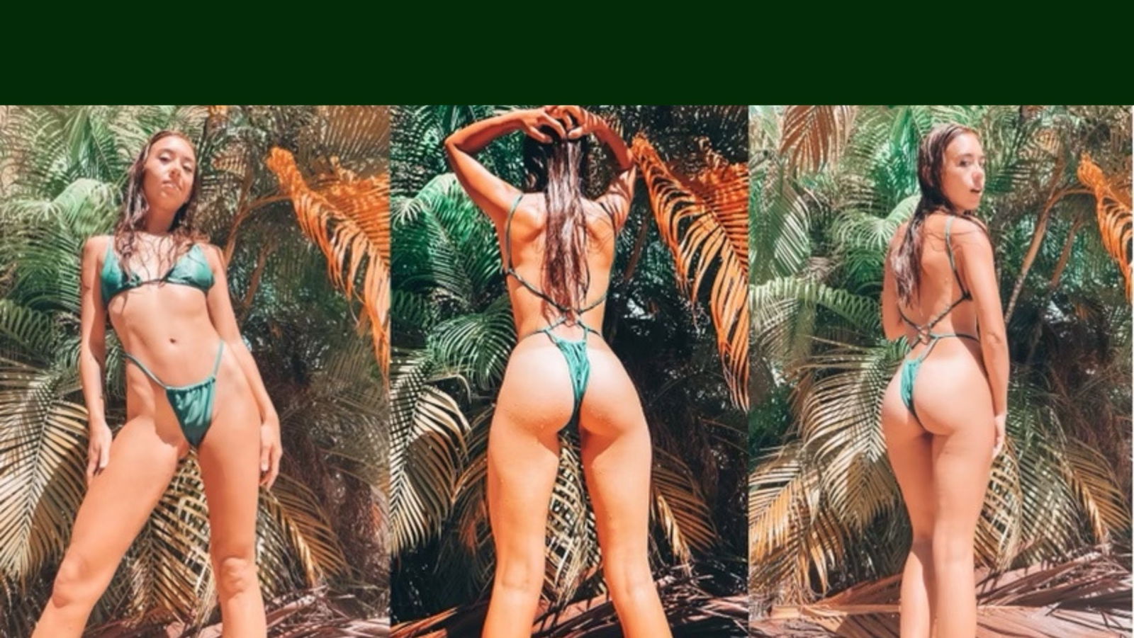 brandibabees banner