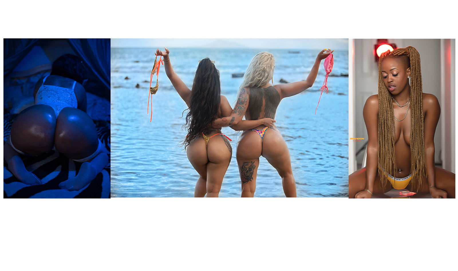 Brandon Wildcard profile banner