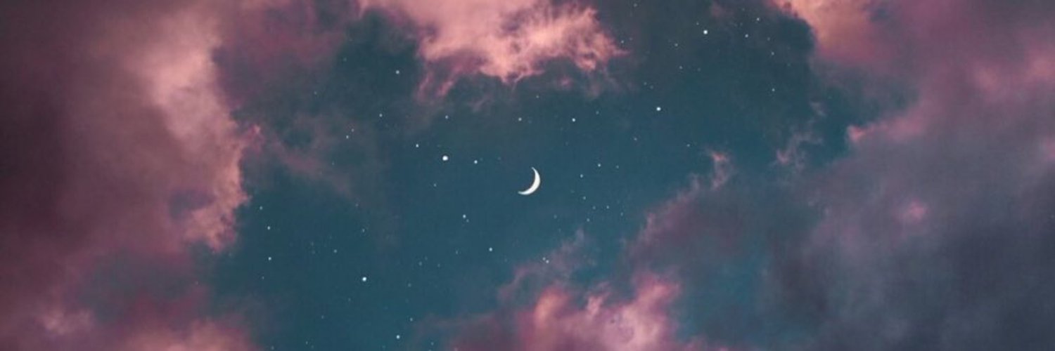 p r i n c e s s profile banner