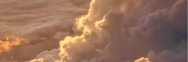 Angel profile banner