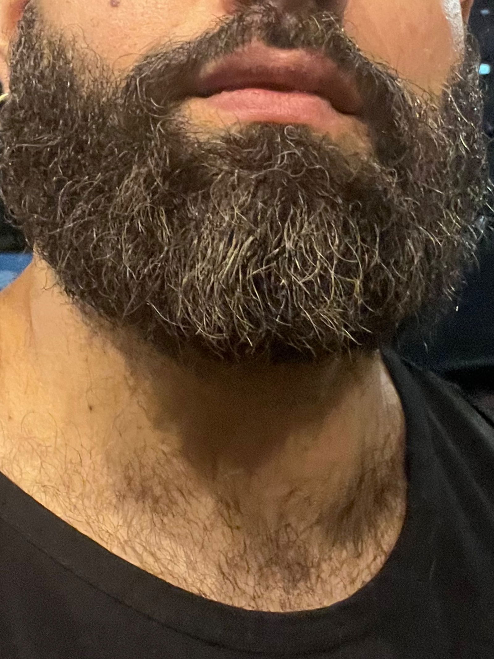 Brazilian_big_bear profile banner