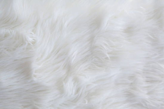 BreeKitty profile banner