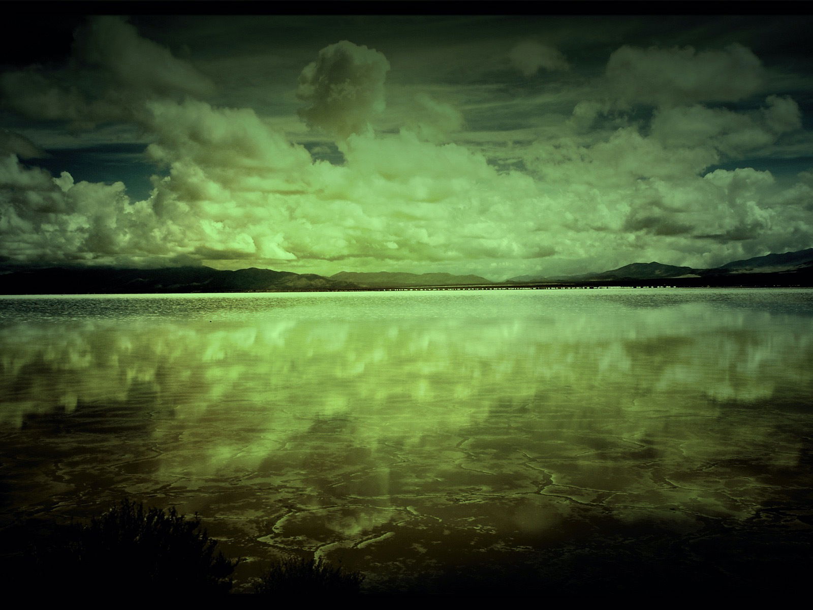 Brian Lewis Free profile banner