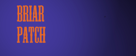 Briar profile banner