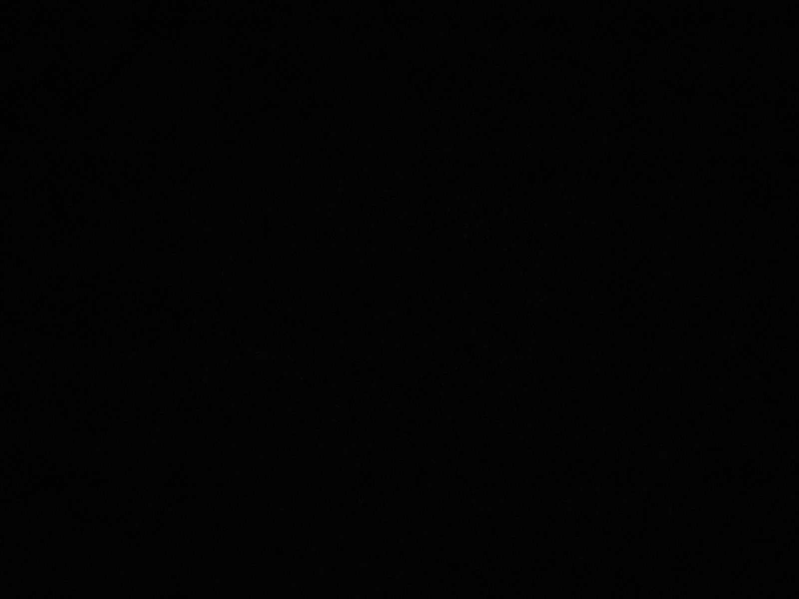Max & Felix profile banner