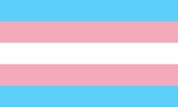 Brooklyn profile banner