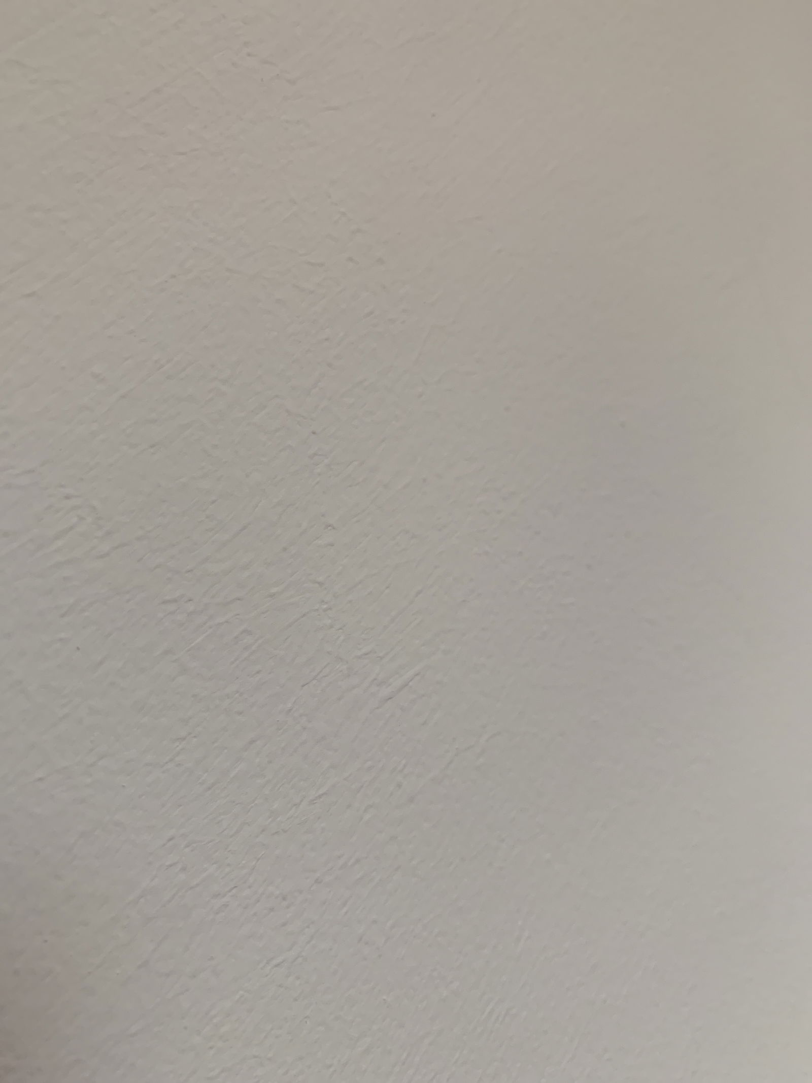 Stella profile banner