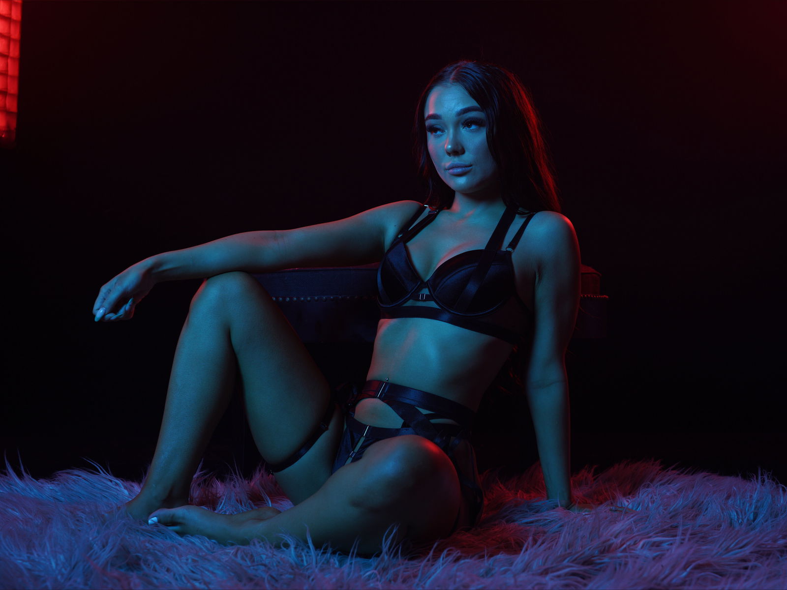 brunettebarbiex banner