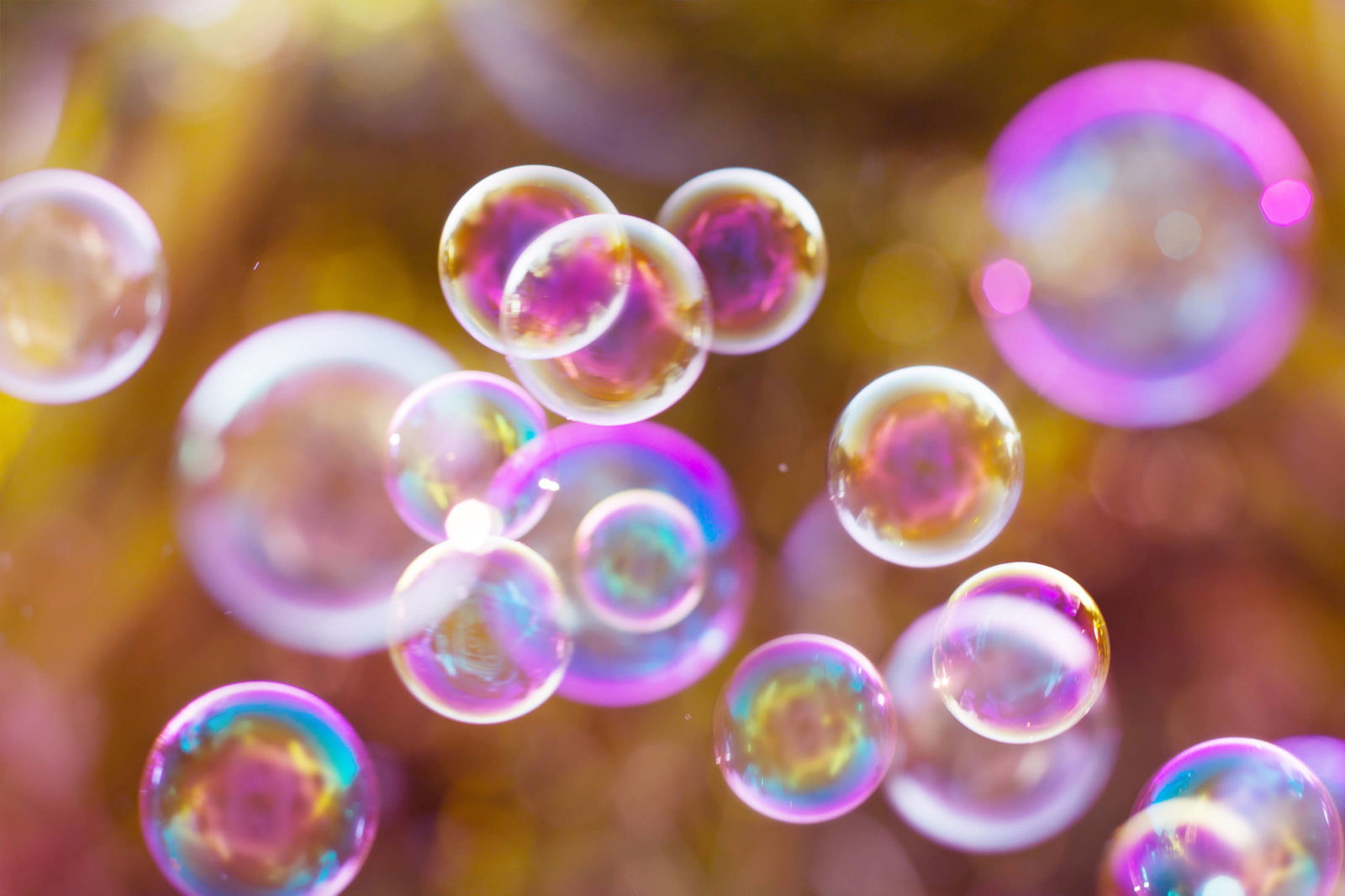 Bubbles profile banner