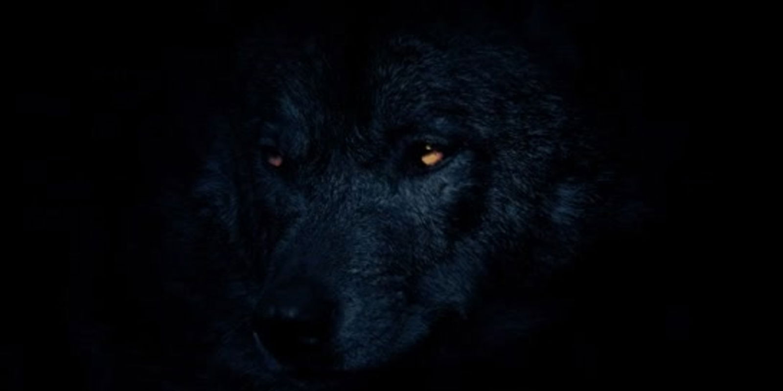 NO LONGER ACTIVE profile banner