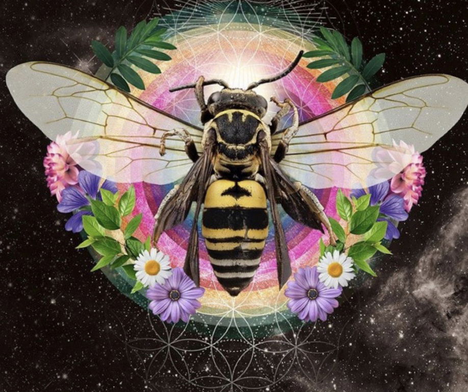 Bumblebee profile banner