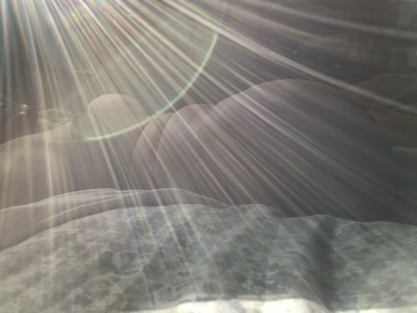 Sunshine the Switch profile banner