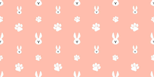 Bunni π profile banner