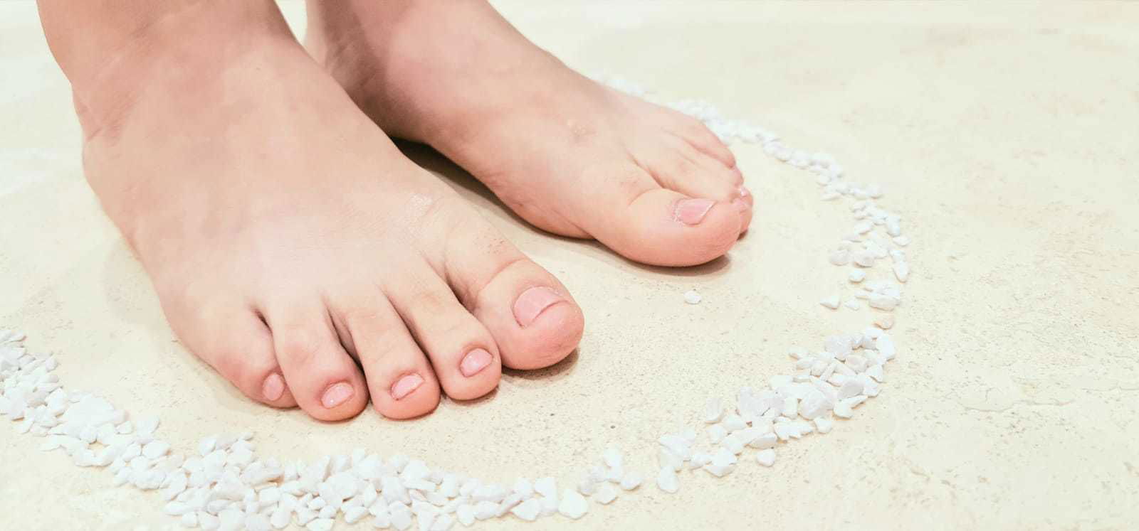 Bunny Feet profile banner