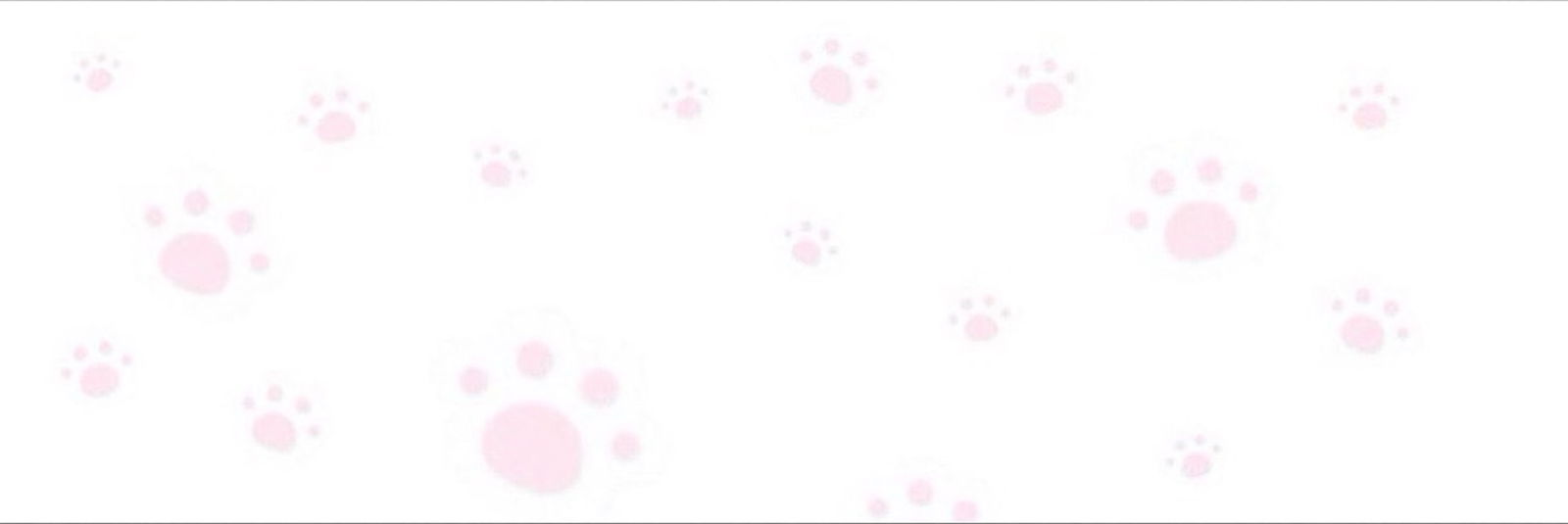 bun⋆˚🐾˖° profile banner