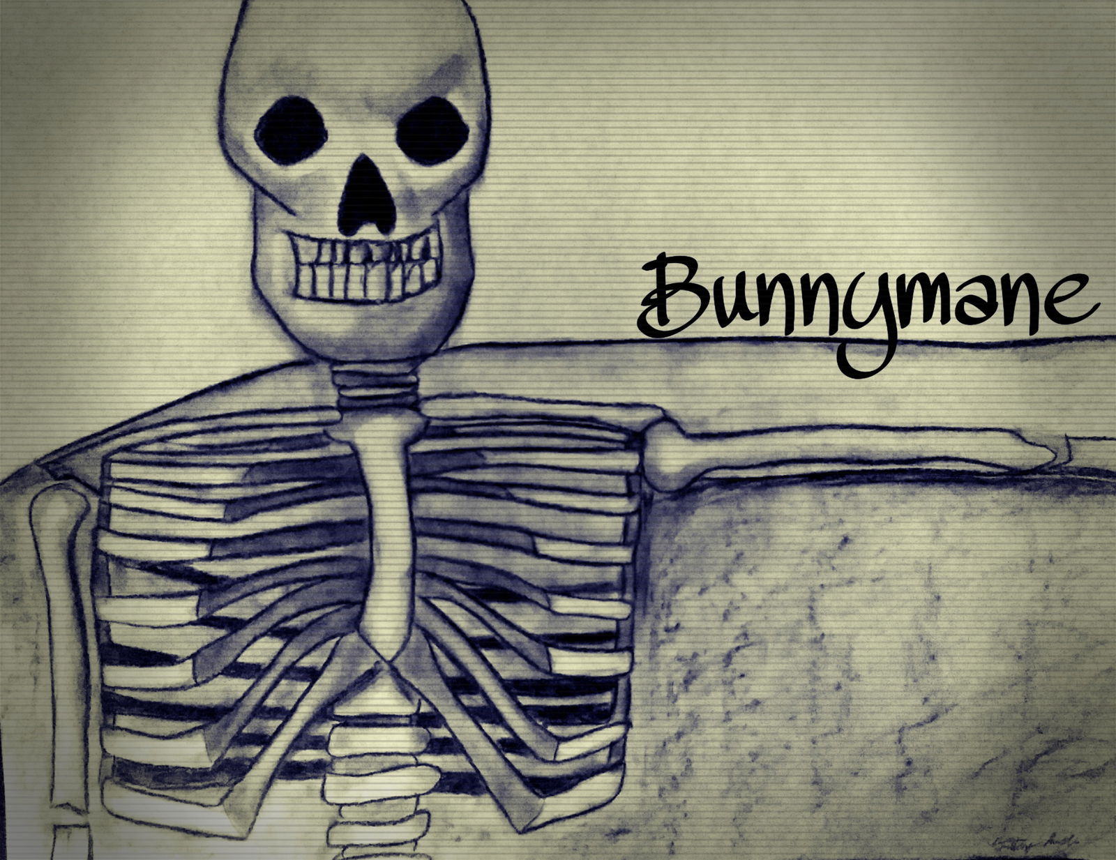 Bunnymane profile banner