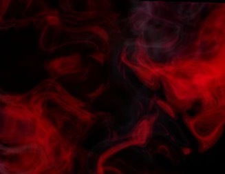Bunny🐰 profile banner