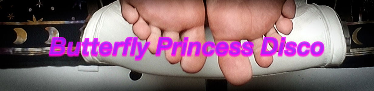 Butterfly Princess Disco profile banner