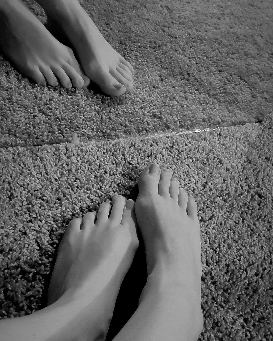 _bzar_beauty_pawprint_ profile banner