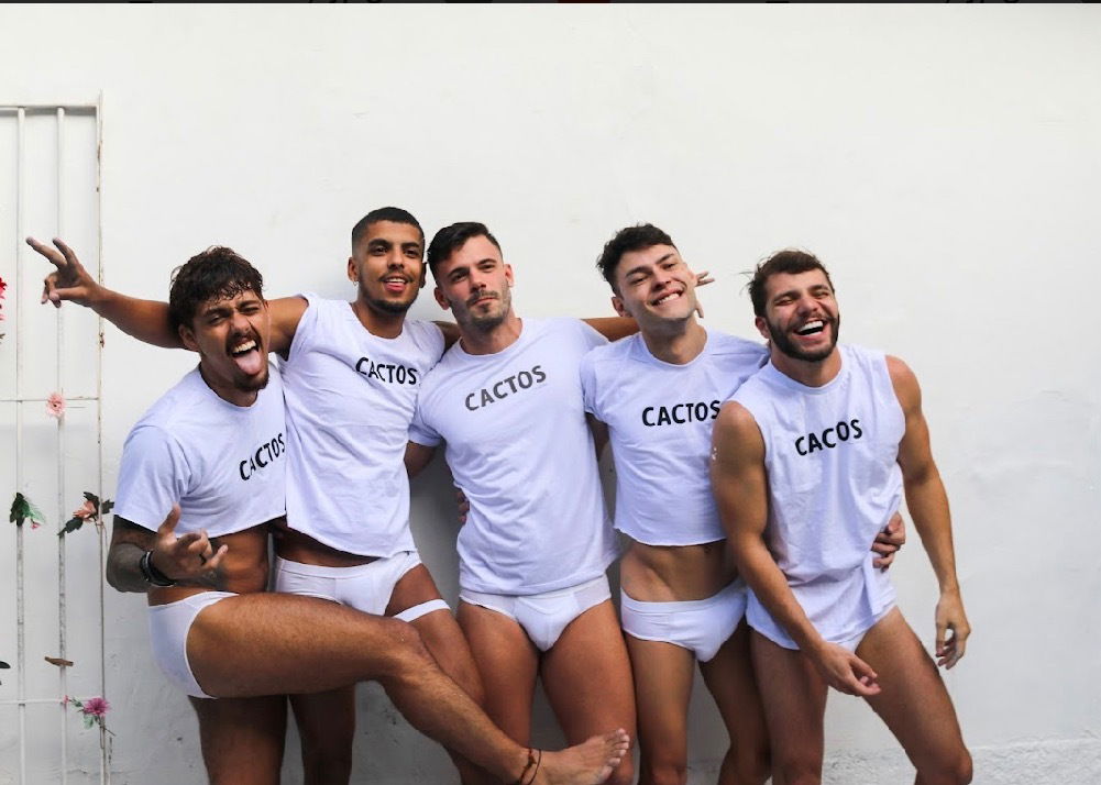 Cactos Magazine profile banner