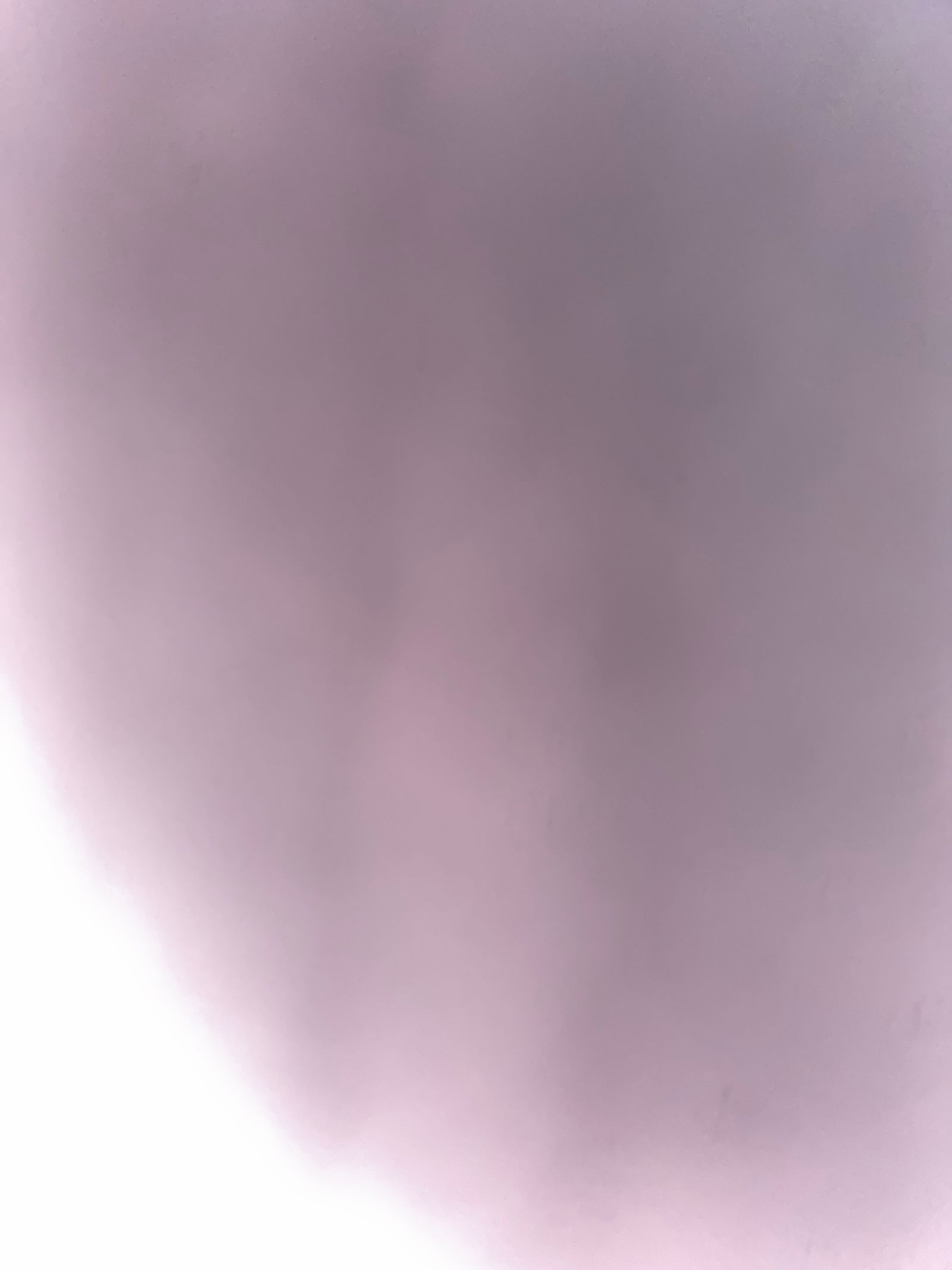 Bunny profile banner