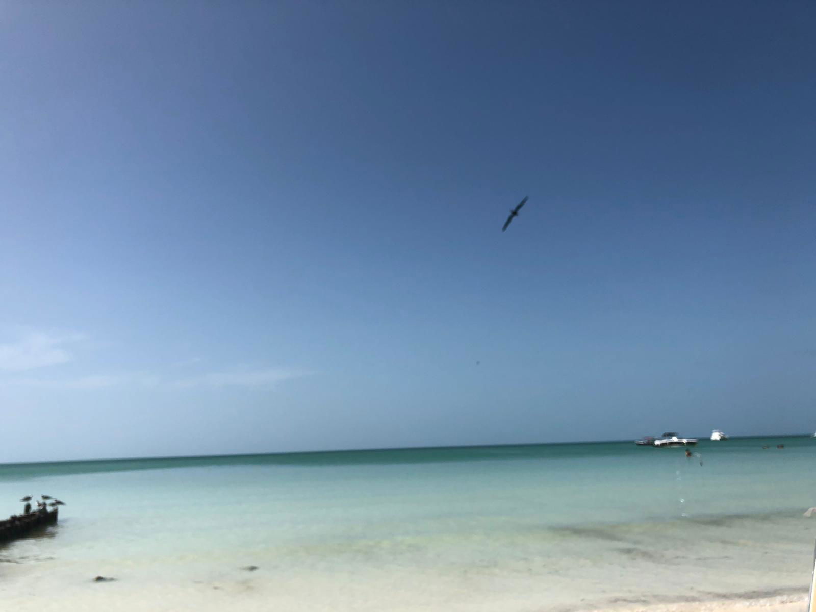 Camicami profile banner