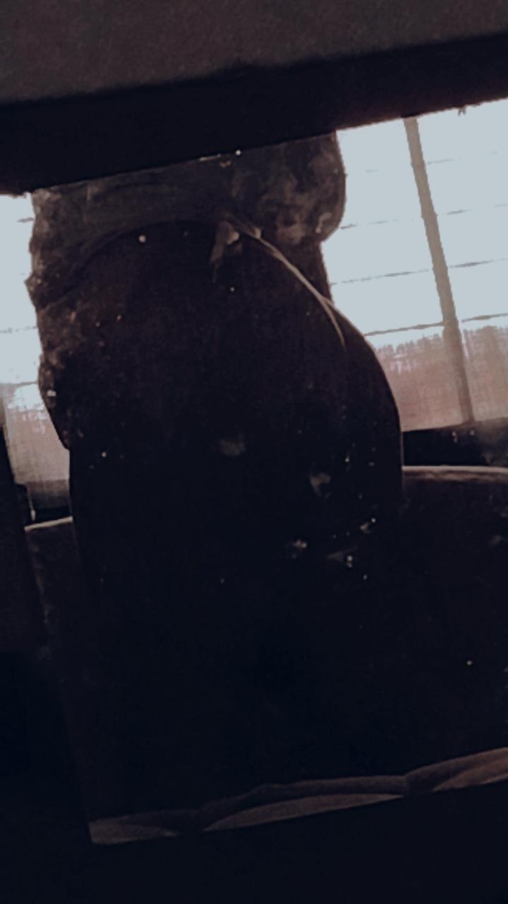 Camile Przysbeczyski profile banner