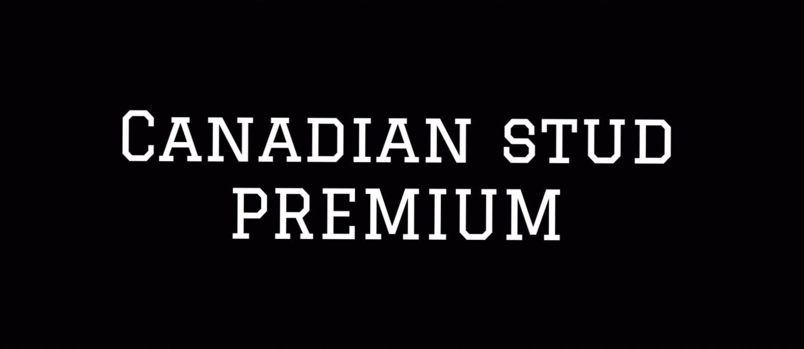 Canadian Stud Premium profile banner