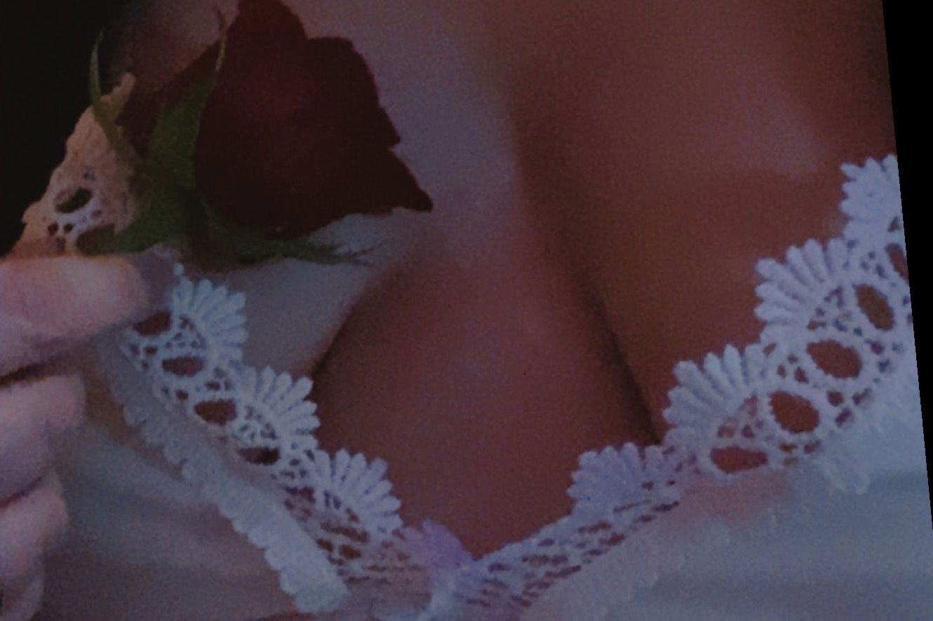 Cannafux profile banner