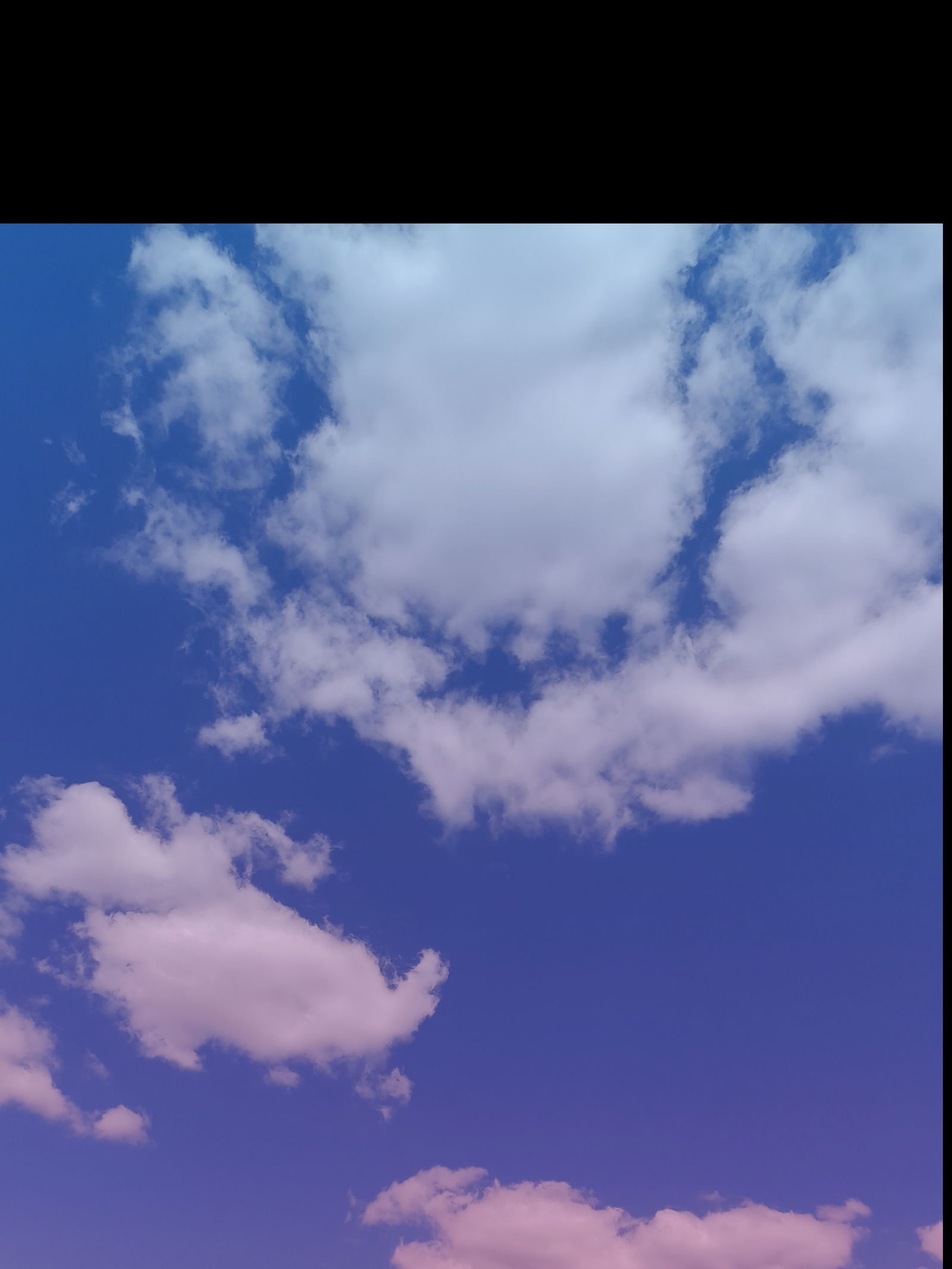 Carla Sofia Barraza profile banner