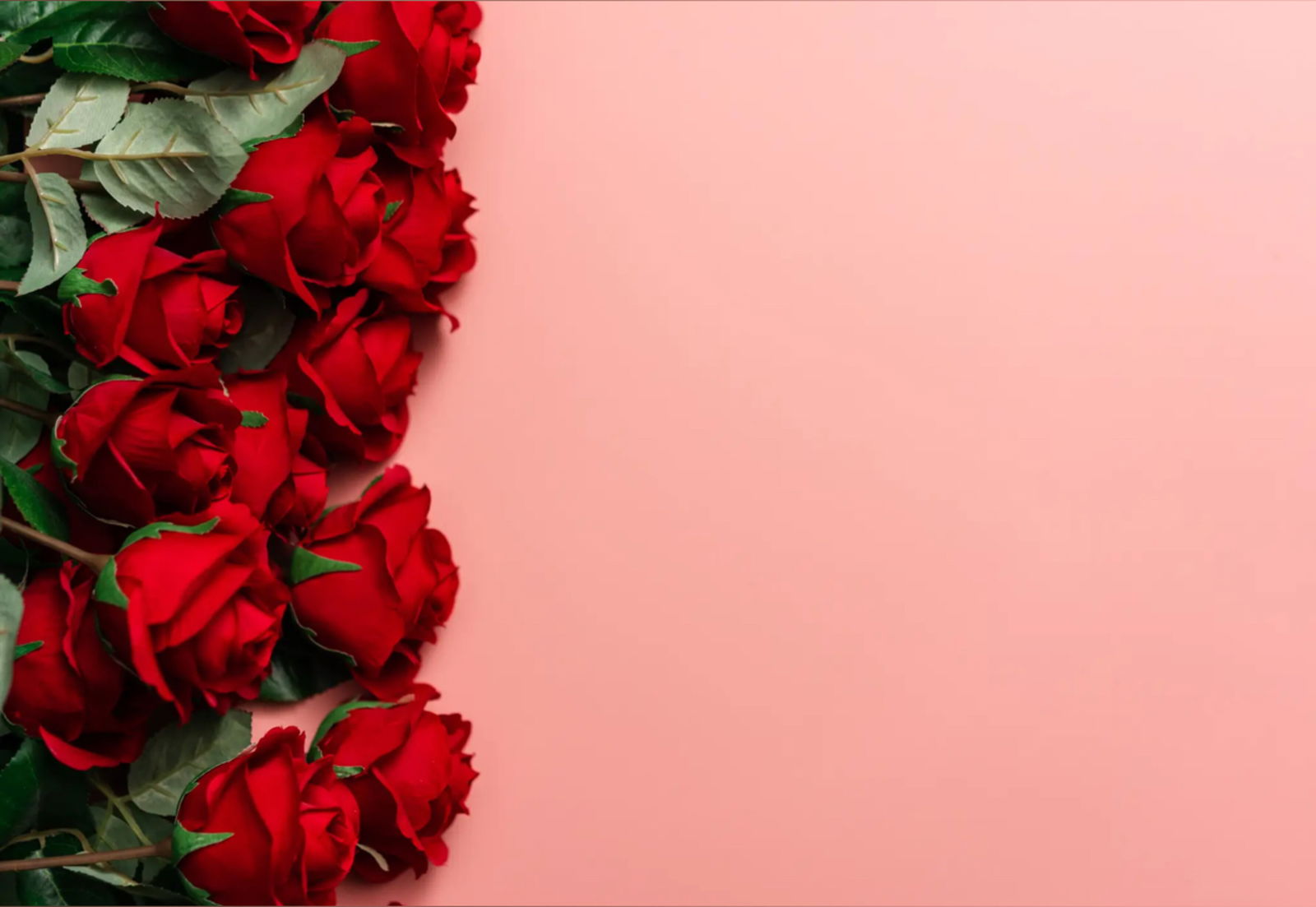 Carly profile banner
